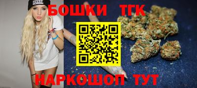 мдпв Михайловск