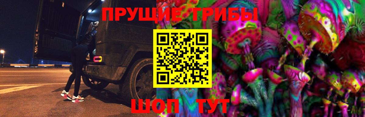 Псилоцибиновые грибы Psilocybine cubensis  Вход с VPN  Барнаул  Галлюциногенные грибы Psilocybe 